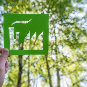 Greenwashing: EU gradually tackles global phenomenon